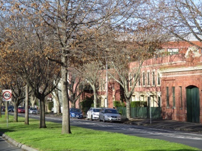 Median Strip in Rathdowne Street